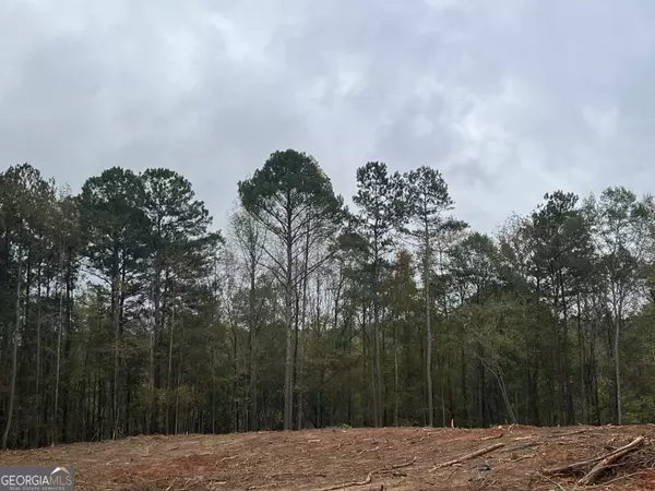 LOT 29 Mossy Oak CT #29, Newnan, GA 30263