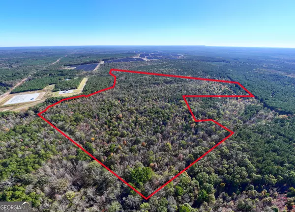 Carlton, GA 30627,69.98 ACRES Saxon Mattox RD
