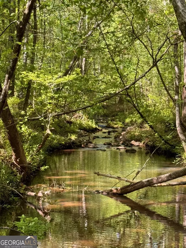 Forsyth, GA 31029,449 Old Indian Springs RD