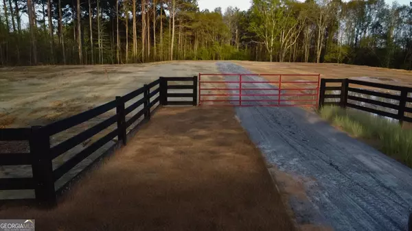 Barnesville, GA 30204,TRACT 9 Ramah Church RD #9