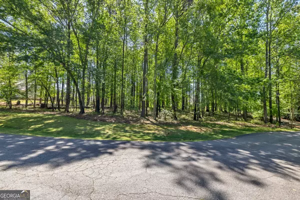 Greensboro, GA 30642,1010 Troon CT