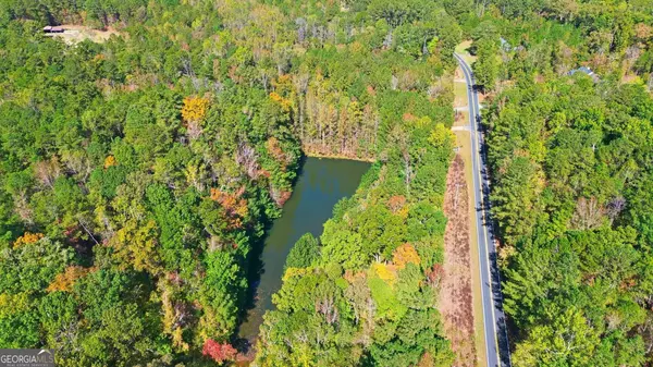 Chattahoochee Hills, GA 30213,10120 Rivertown RD