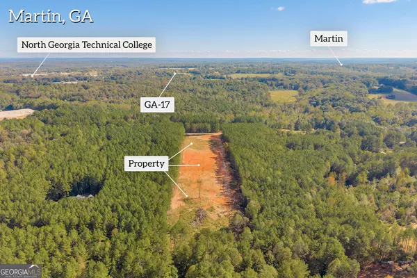 Eastanollee, GA 30538,0, LOT 30A Swilling RD