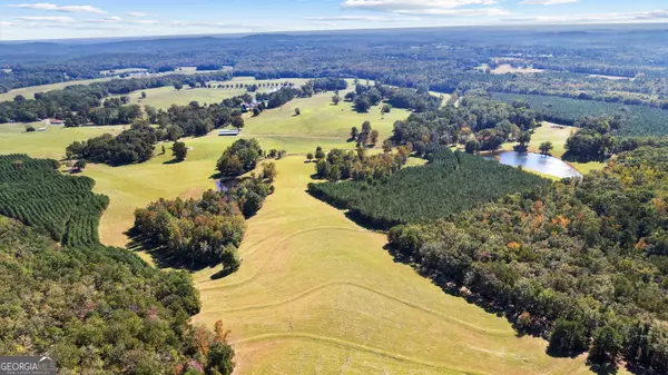 Woodland, GA 31836,5225 Chalybeate Springs RD