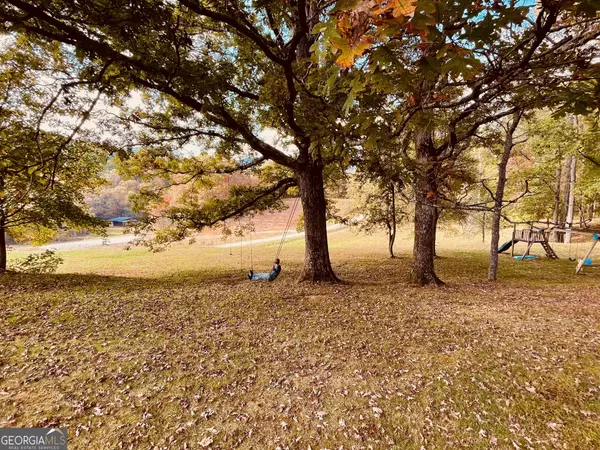 Blue Ridge, GA 30513,1030 Macedonia Church RD