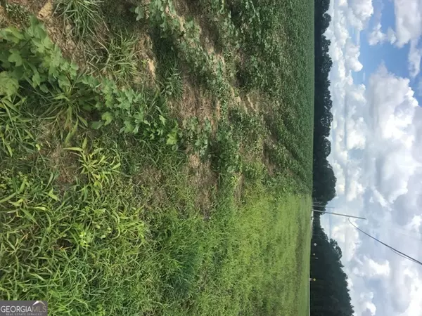 Claxton, GA 30417,0 Us Highway 301