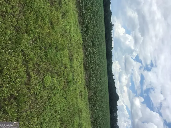 Claxton, GA 30417,0 Us Highway 301