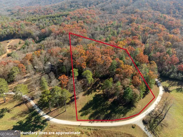 Ellijay, GA 30536,LOT 3 Spring Camp RD