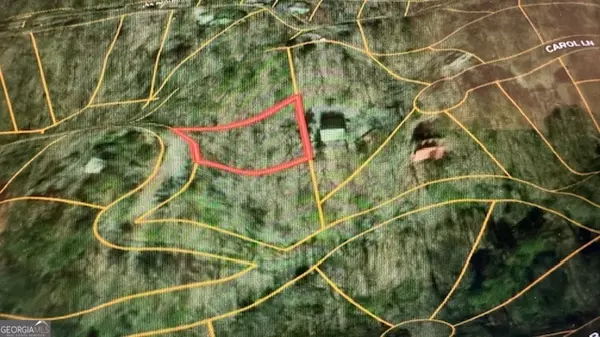 Ellijay, GA 30540,LOT 638 Dewey DR