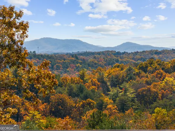 Mineral Bluff, GA 30559,653 The Woods RD