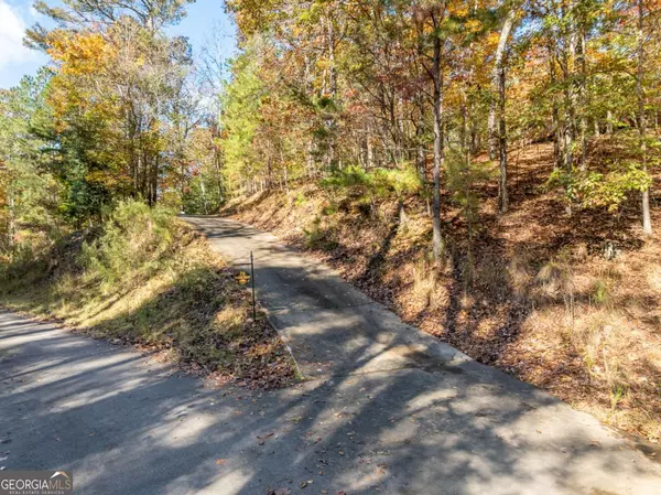 Ellijay, GA 30540,70 Fugue DR #1226