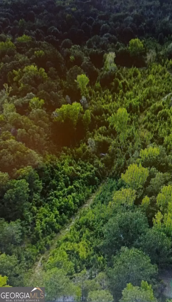 Box Springs, GA 31801,700 Gun Club Road