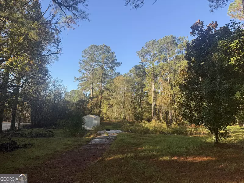 201 Waters Grove RD, Sylvania, GA 30467