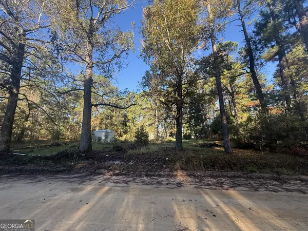 Sylvania, GA 30467,201 Waters Grove RD