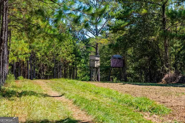 Buena Vista, GA 31803,1901 Joe Wells Road