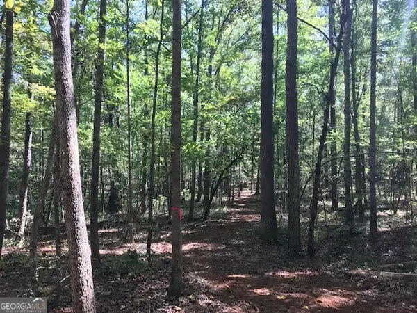 Newnan, GA 30263,189 & 191 W Plantation DR