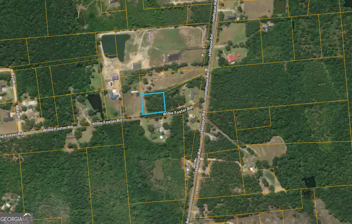 Hazlehurst, GA 31539,0 Willie Foster RD