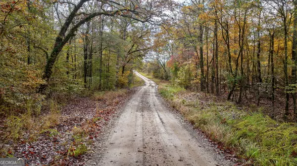 Carlton, GA 30627,0 New Hope Vesta RD