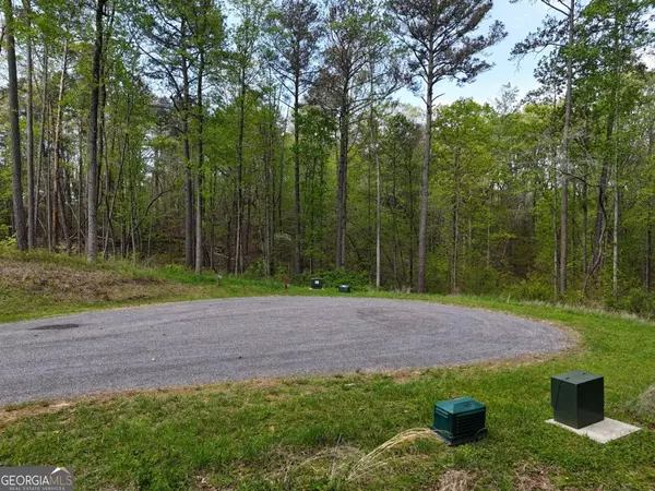 Ellijay, GA 30540,LT 36R Hilton DR