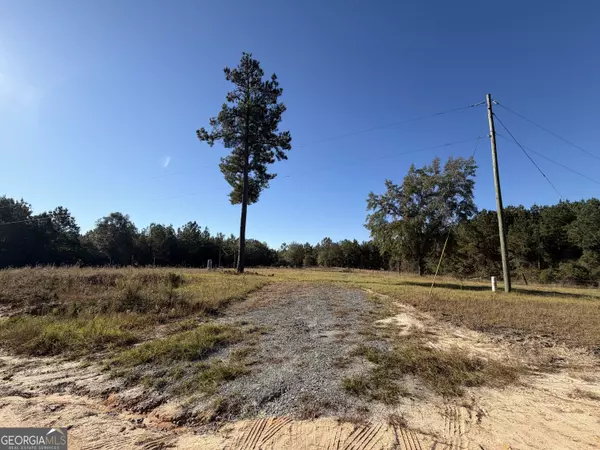 Chauncey, GA 31011,401 Sanders Cemetary RD