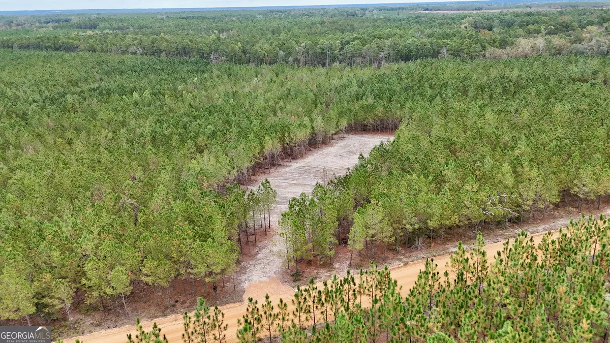 Baxley, GA 31513,0 Penny Morris RD