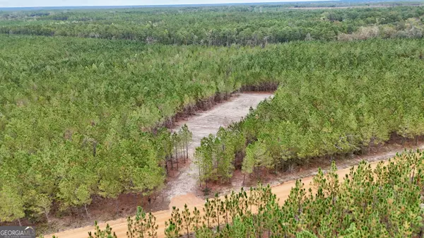 0 Penny Morris RD, Baxley, GA 31513