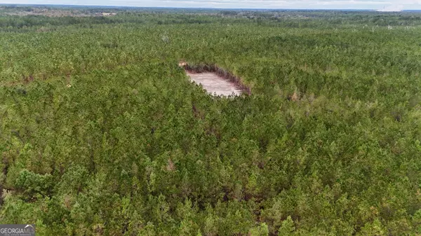 Baxley, GA 31513,0 Penny Morris RD