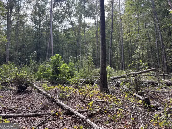 Toccoa, GA 30577,535 Deer Chase RD