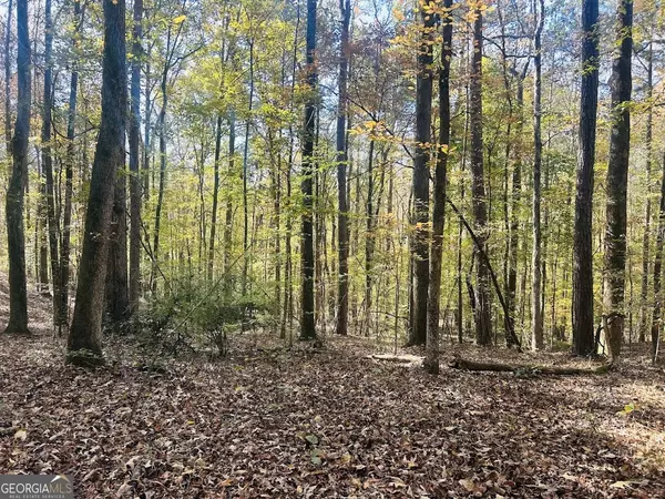 Conyers, GA 30013,0 Stream View DR #LOT 19