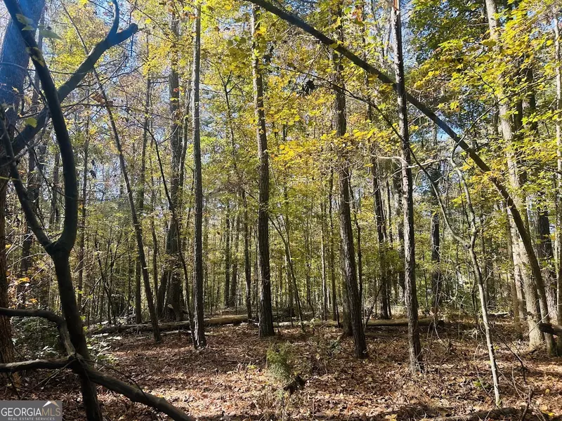 0 Stream View DR #LOT 19, Conyers, GA 30013