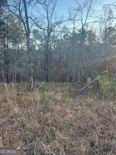 0 River Ridge TRL, Sparta, GA 31087