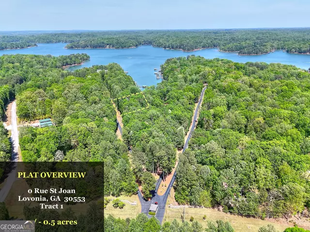 Lavonia, GA 30553,0 Rue St Joan