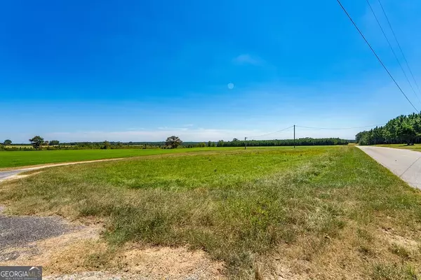 Buena Vista, GA 31803,TRACT 3 Joe Wells RD