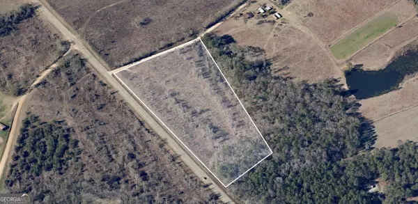 Lyons, GA 30436,0 E GA HWY 56 (4.28 acres)