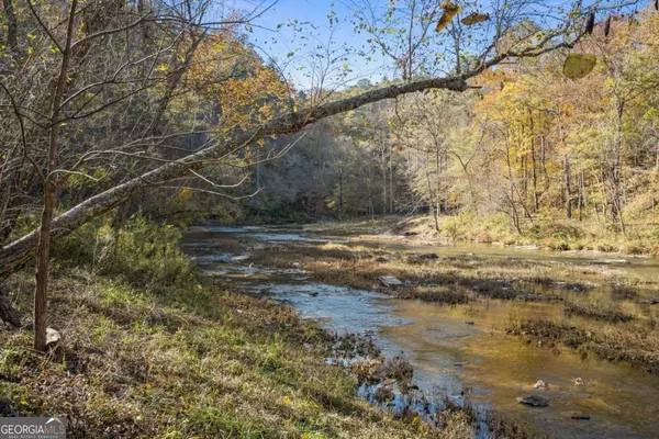 Talking Rock, GA 30175,1251 Bar T Ranch RD