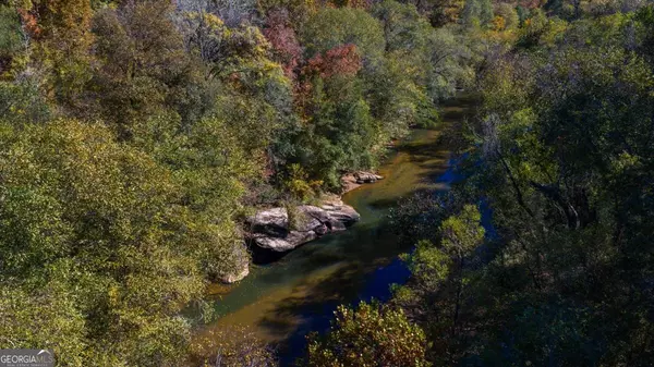 Forsyth, GA 31029,3471 GA Highway 42 N