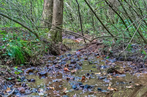 Douglasville, GA 30134,0 Borrow Pit RD