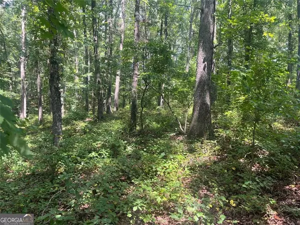 Ball Ground, GA 30107,6 Acres Henry Scott