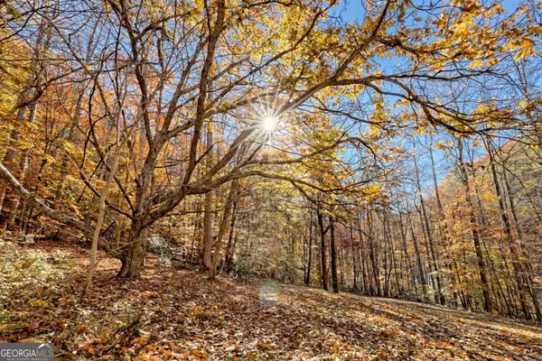 Hayesville, NC 28904,1307 Clear Creek RD