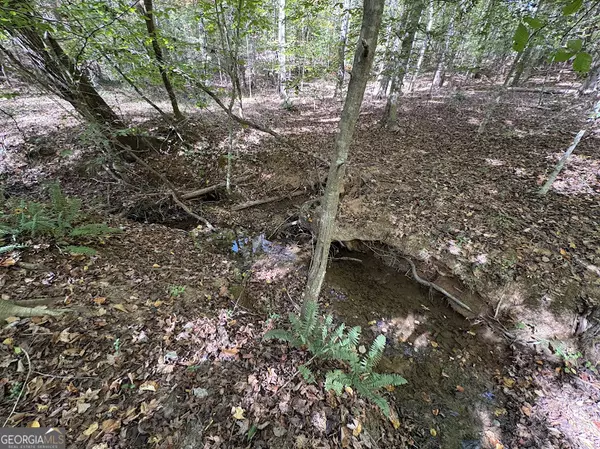 Elberton, GA 30635,2154 Far A Way RD