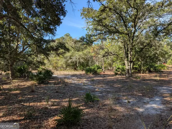 Folkston, GA 31537,779 Ralph Davis RD