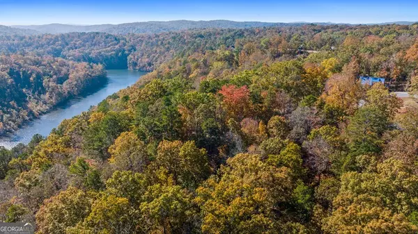 Ellijay, GA 30540,LOT 59 Ridge Line TRL