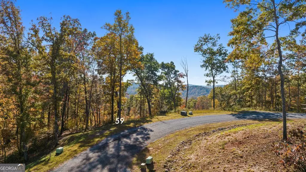 Ellijay, GA 30540,LOT 59 Ridge Line TRL
