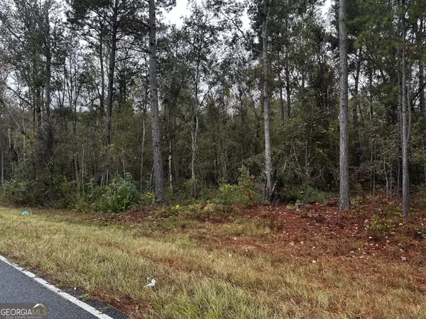 0 ERICK RD, Alamo, GA 30411