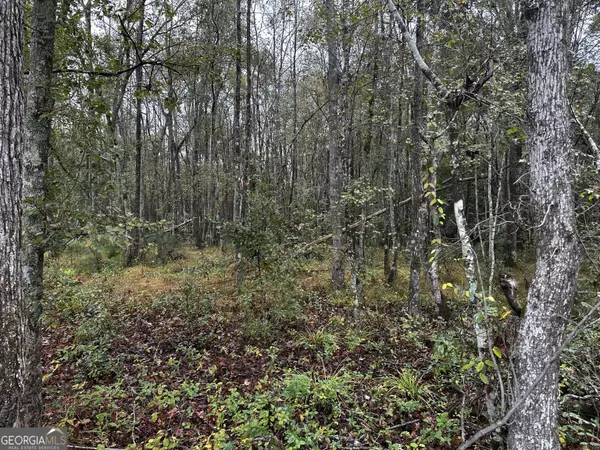 Alamo, GA 30411,0 ERICK RD