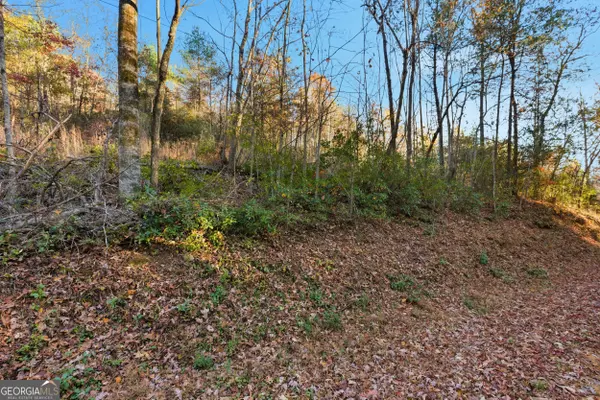 Clarkesville, GA 30523,201 Spookhaven LN