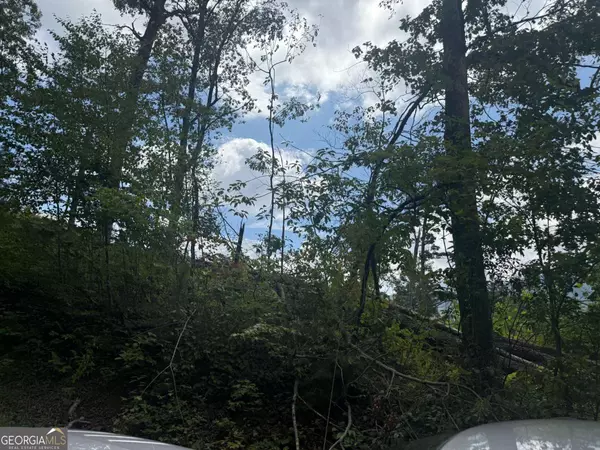 Hayesville, NC 28904,0 Bethabara VW #11