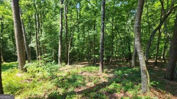 Dawsonville, GA 30534,134 Cicero TRL