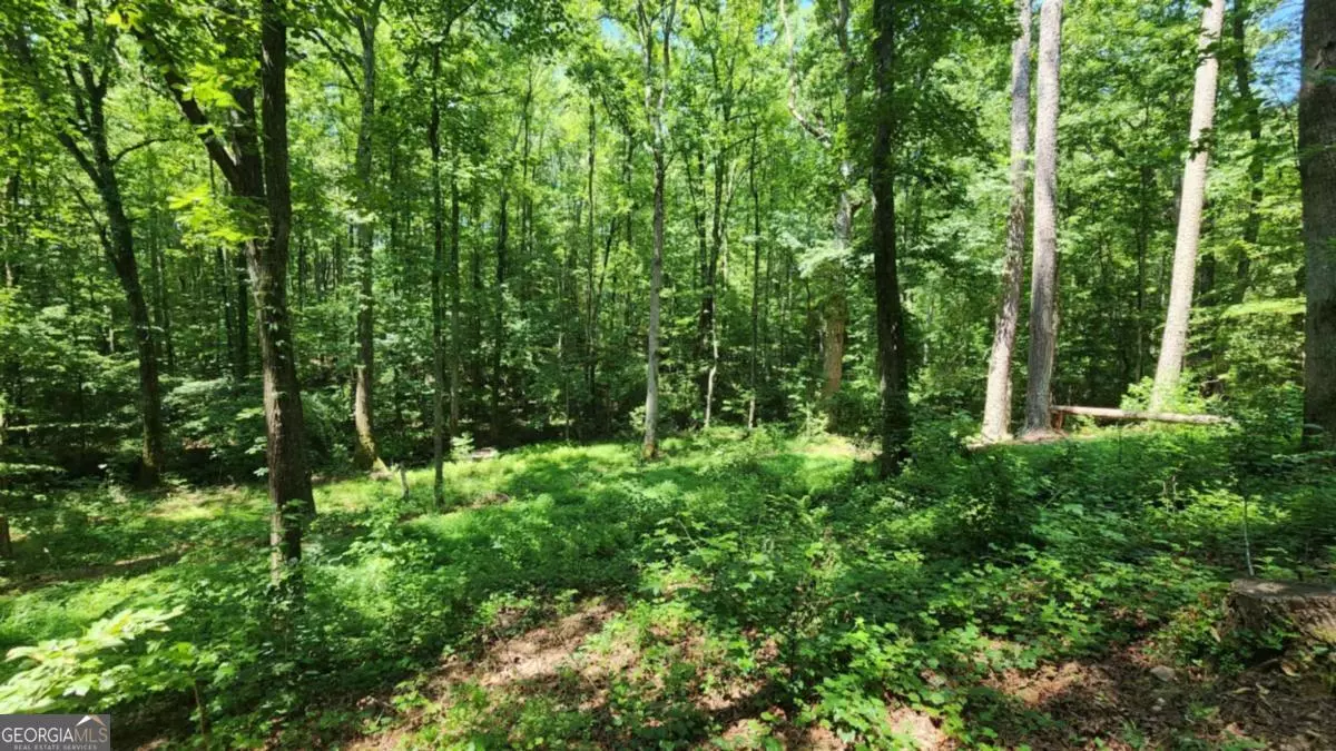 Dawsonville, GA 30534,134 Cicero TRL