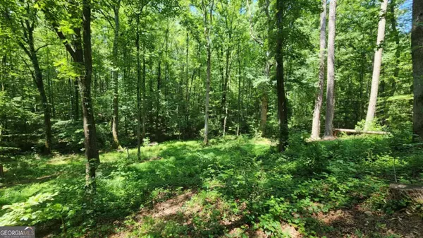 134 Cicero TRL, Dawsonville, GA 30534